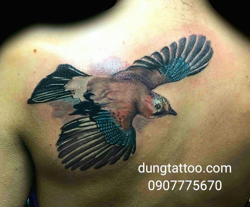 hinh xam chim tattoo bird